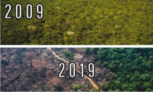 A degradação do meio ambiente. - BIOLOGIA A Degradação do meio ambiente, poluição, as definições de poluição, A revolução industrial e a poluição, poluição da águas, poluição atmosférica, os problemas ambientais dos grandes centros.