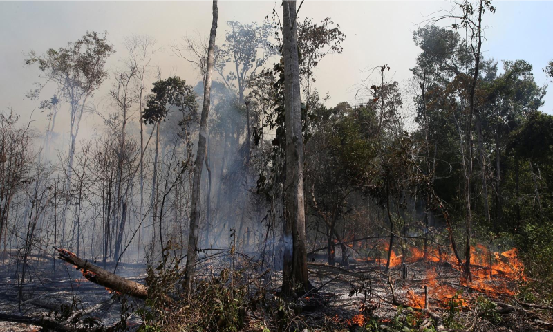 A humanidade e o futuro no Planeta Terra! - Não se conforme com a situação degradante da natureza, assume as responsabilidades que lhes cabe!