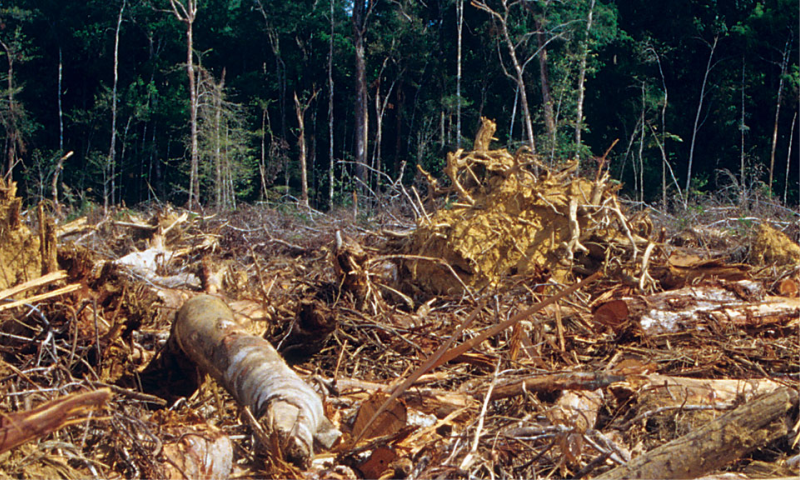Problemas ambientais ameaçam a humanidade! - Cientistas e diplomatas de mais de 130 países se reuniram para adotar a primeira avaliação mundial dos ecossistemas em 15 anos.