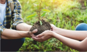 Seja Sócio Usuário do Portal Eco Vida! - Pensado para atender tanto as necessidades comerciais das empresas quanto as dos usuários.